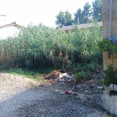 خرید زمین مسکونی در تشبندان